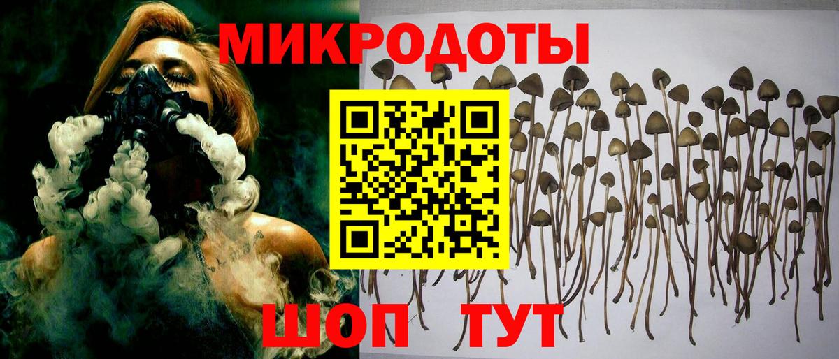 Ишим  Галлюциногенные грибы прущие грибы  Вход с VPN 